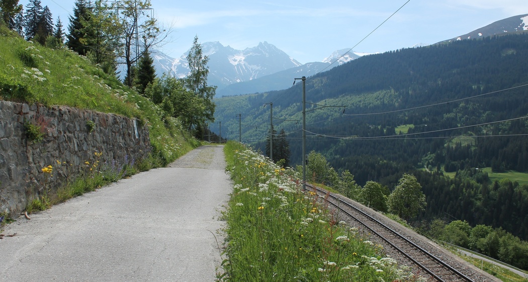 Weg von Bugnei nach Mompé Tujetsch