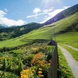 Von Segnas Richtung Sedrun