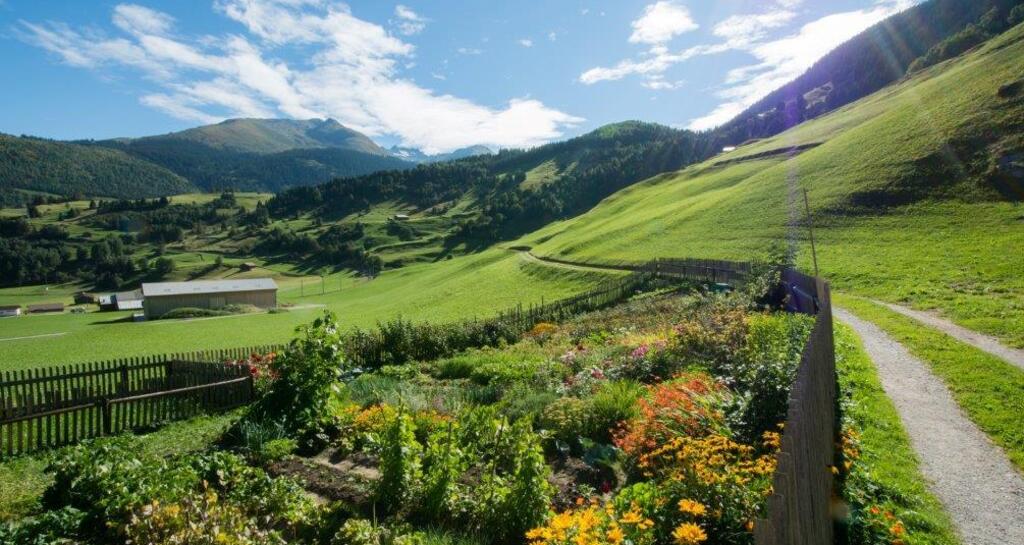 Von Segnas Richtung Sedrun