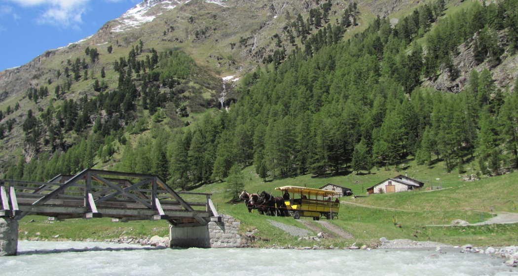 Kutsche im Val Roseg