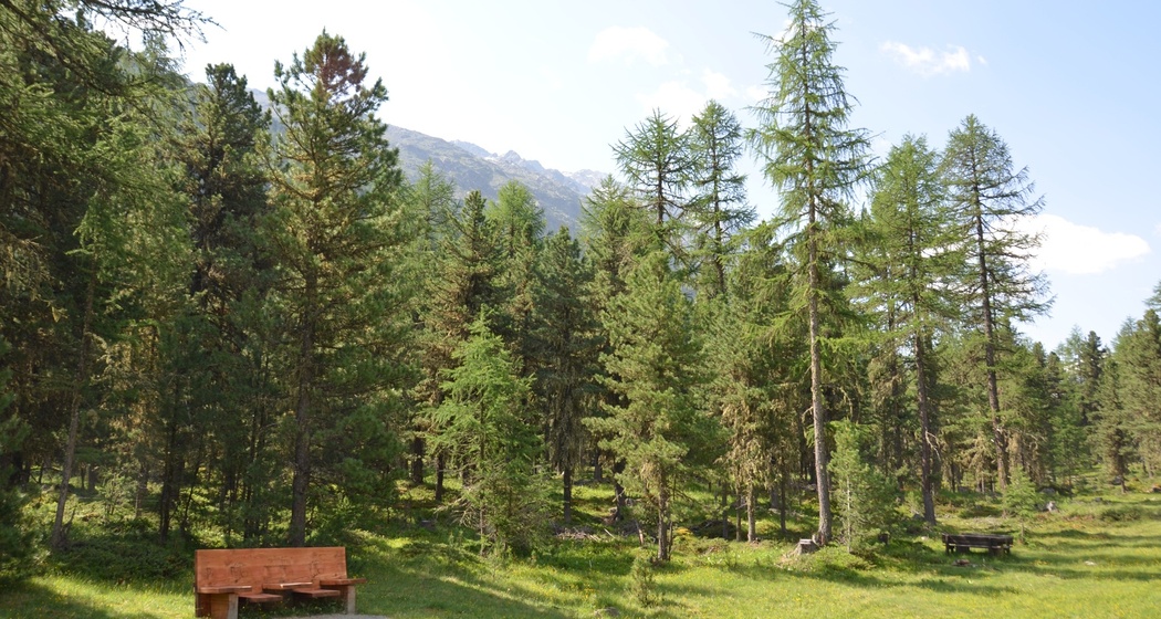 Entspannen im Val Roseg