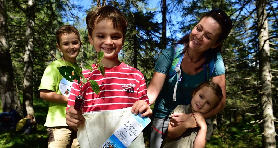 Unterwegs mit der Bergwaldwundertüte Parc Ela