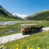 Kutschenfahrt ins Val Roseg