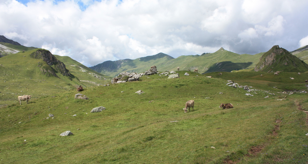 Etappe 19: Casannapass