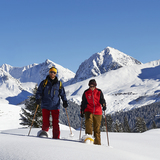 Maran-Prätschalp-Scheidegg-Fuchs-Hauptichopf-Maran Rundtour (Tour 1 - lang)