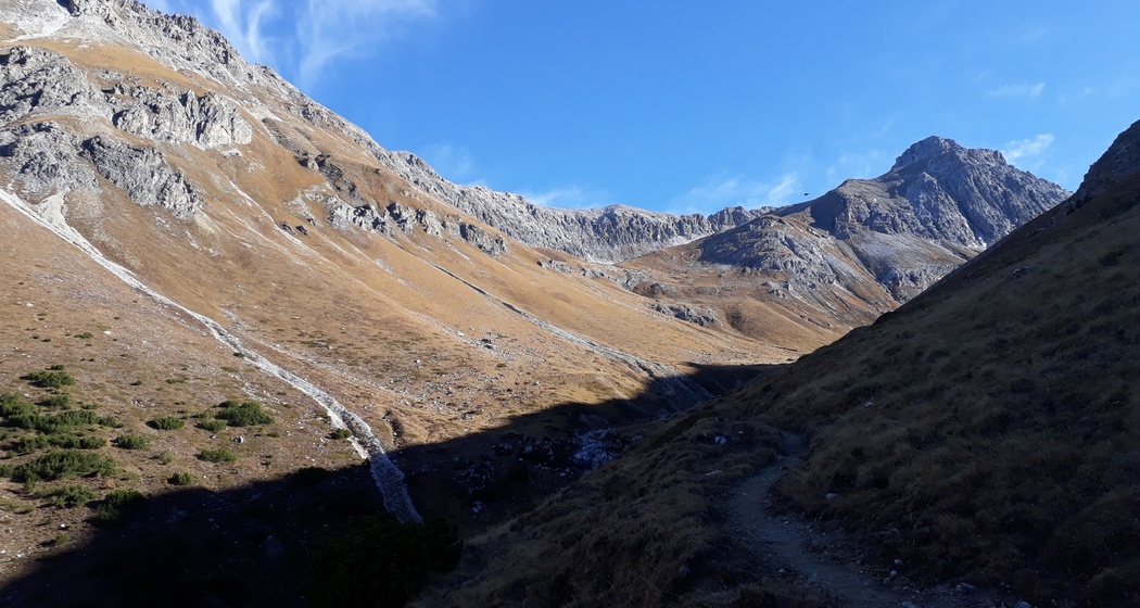 Muot Surrent (oua_27126727_image)