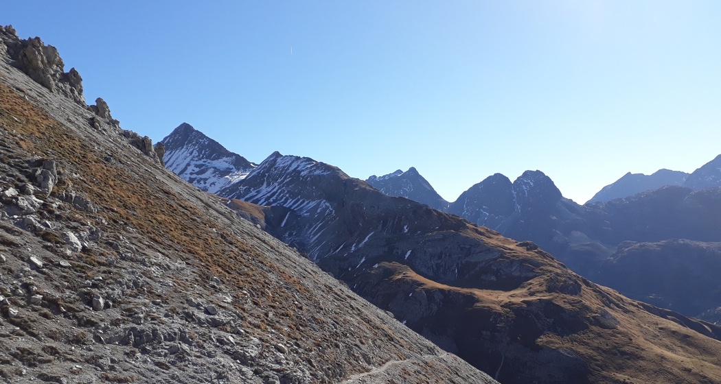 Muot Surrent (oua_27126728_image)