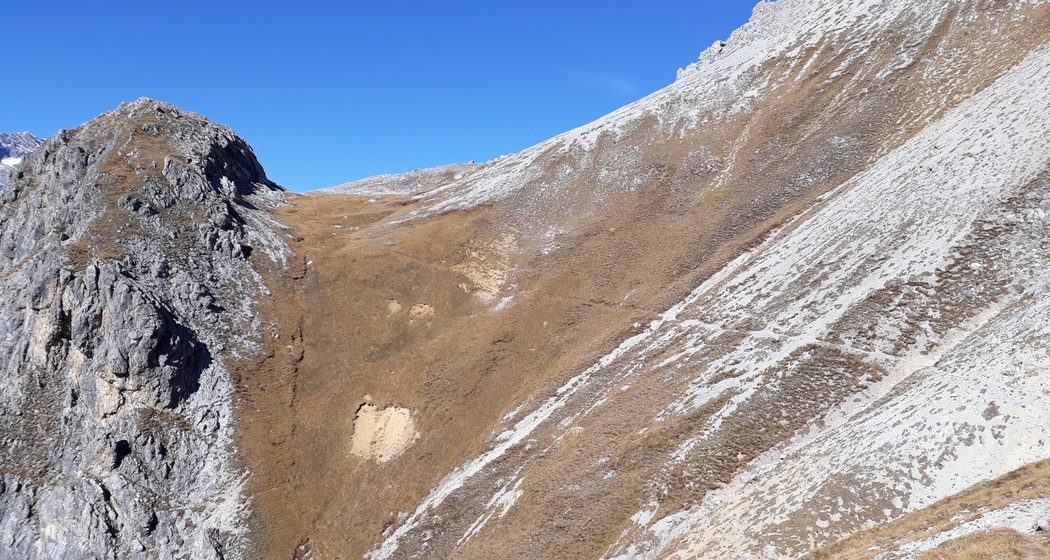 Muot Surrent (oua_27126729_image)