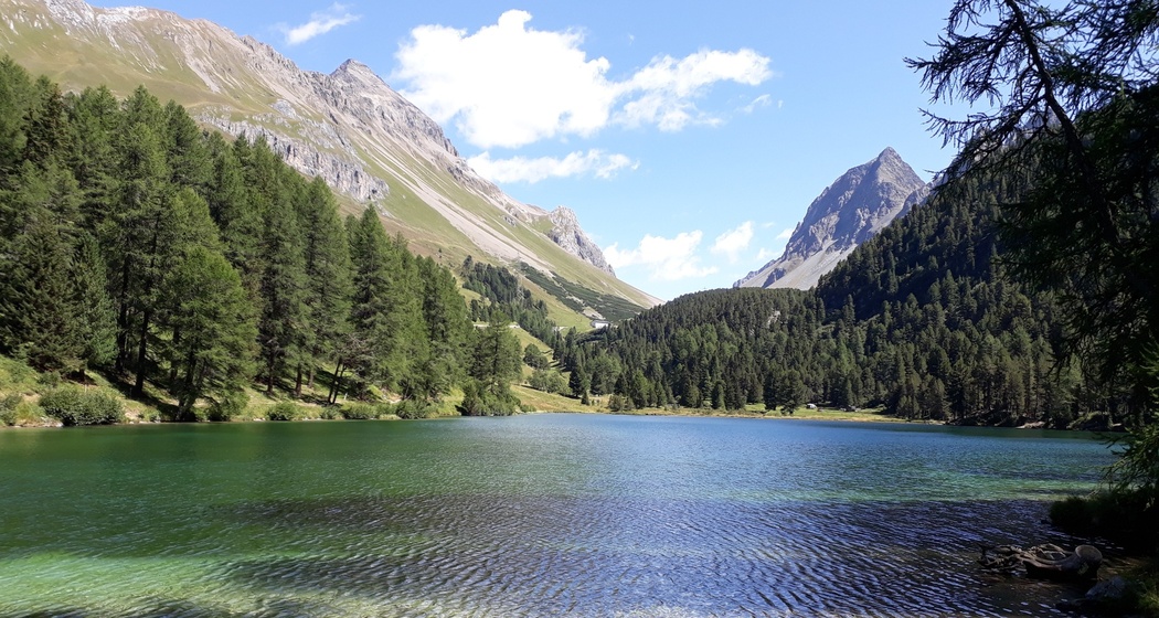 Preda - Lai da Palpuogna (oua_27128085_image)