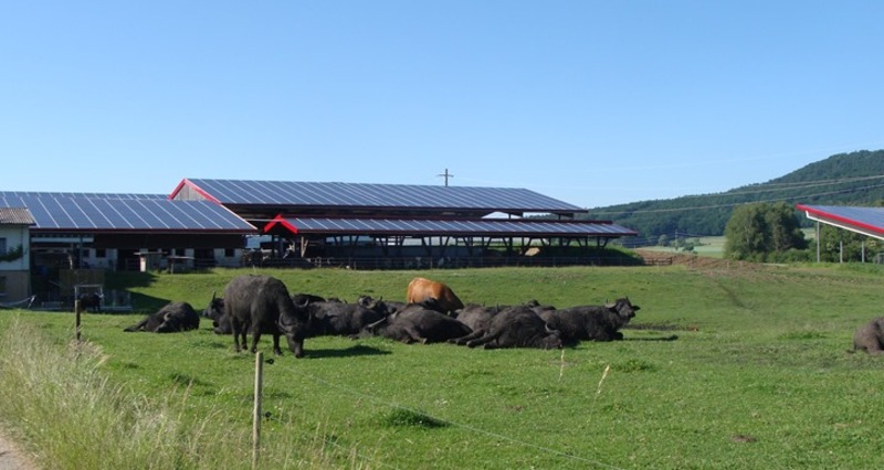 Bolderhof (oua_27157248_image)