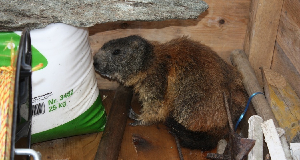 Etappe 2: Ja, was ist das denn da?