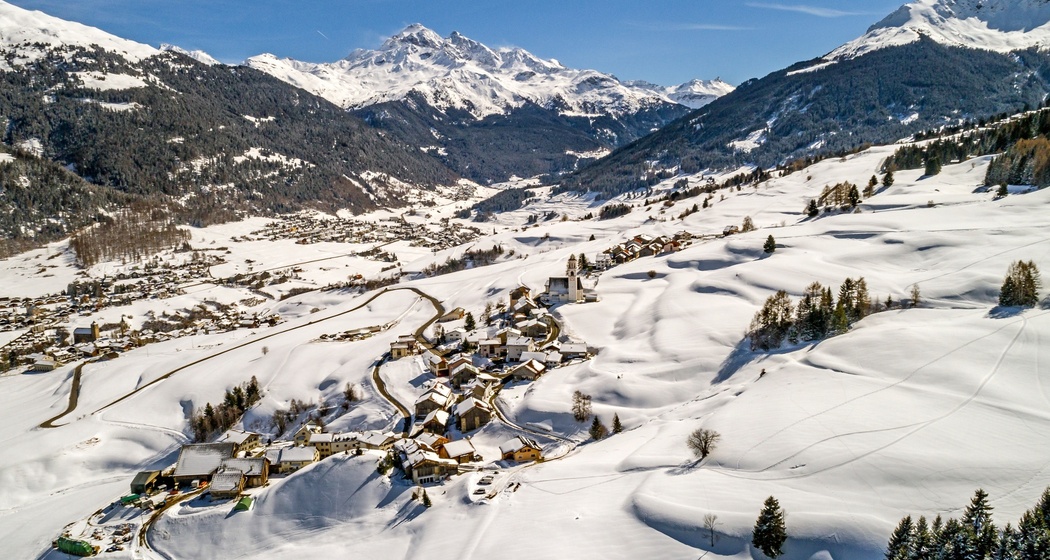 Parsonz (oua_27378592_image)