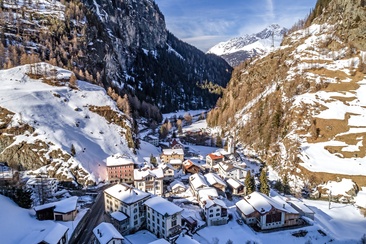 Mulegns (oua_27378903_image)