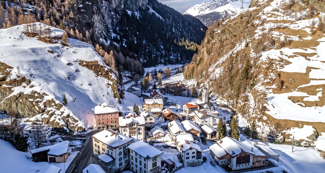 Mulegns (oua_27378903_image)