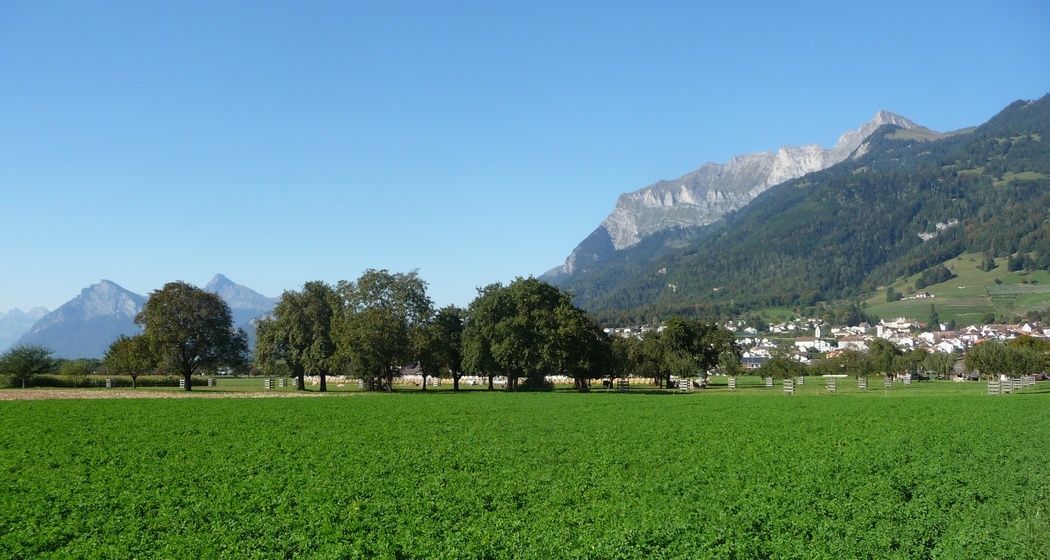 Willkommen im Winzerdörfchen Malans