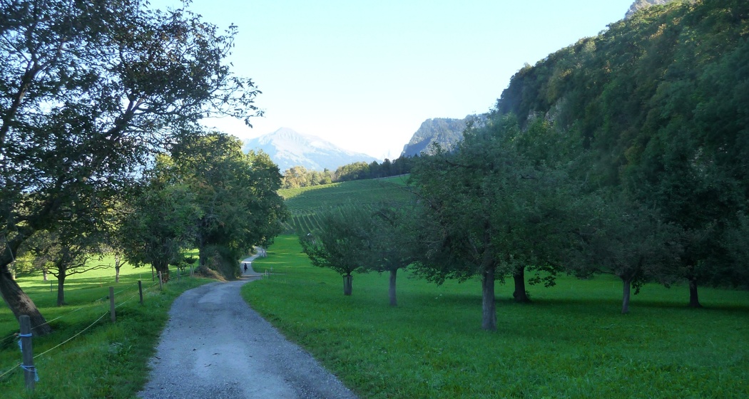 Breiter Kiesweg von Trimmis in Richtung Malans