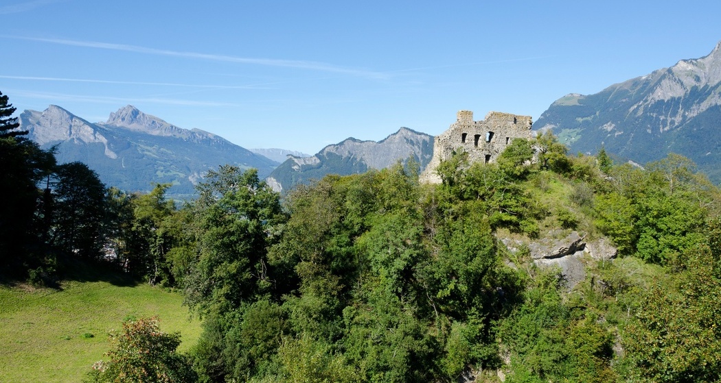 Burgruine Wartenstein