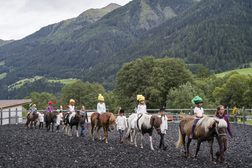 Reitschule Iris Hauschild - Fokus Mensch-Pferd (oua_27608854_image)