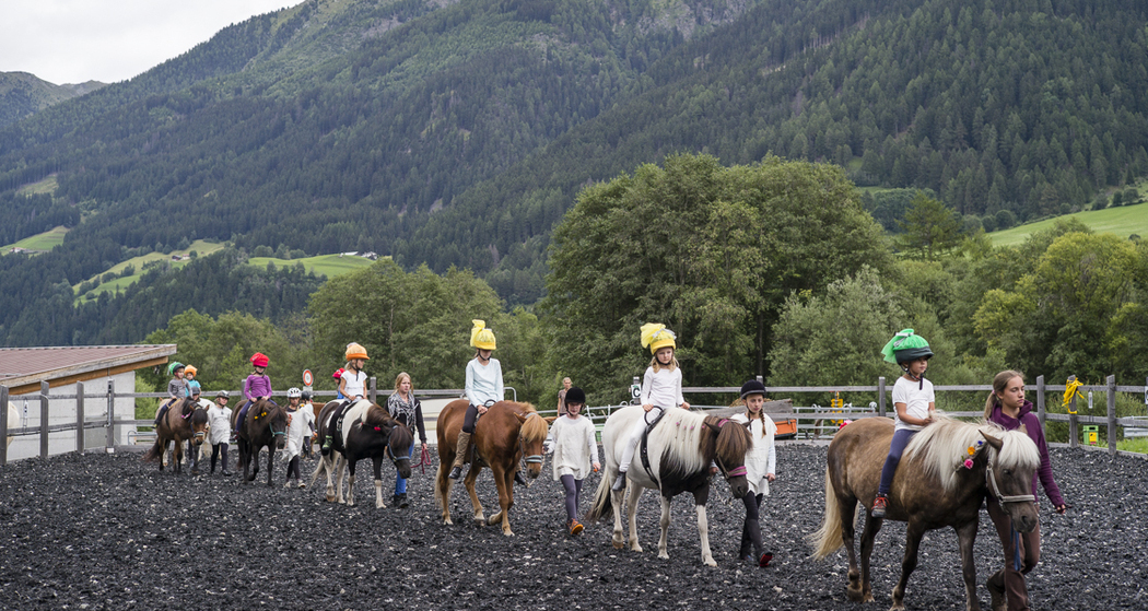 Reitschule Iris Hauschild - Fokus Mensch-Pferd (oua_27608854_image)