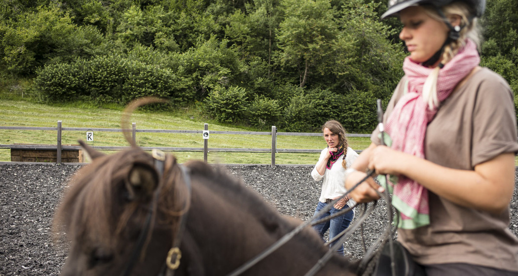 Reitschule Iris Hauschild - Fokus Mensch-Pferd (oua_27608859_image)