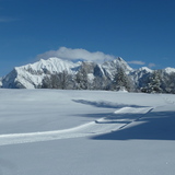 Langlaufloipe mit dem verschneiten Falknis im Hintergrund