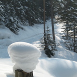 Tiefverschneite Wälder warten auf Langlauffans