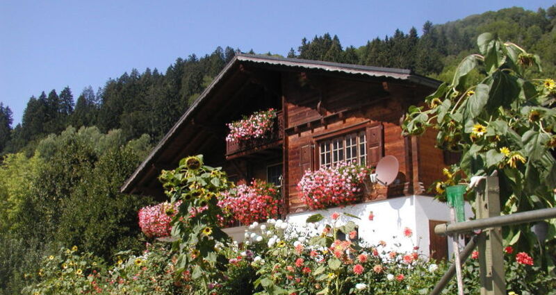 Hof Gula (oua_28416888_image)