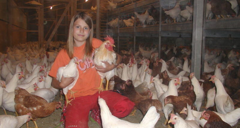 Hof Gula (oua_28416889_image)