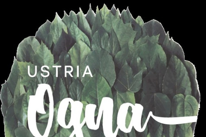 Senda d'art - Parcours d'art au bord du Rhin (oua_28417180_image)