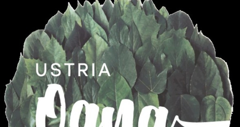 Senda d'art - Kunstpfad am Rhein (oua_28417180_image)