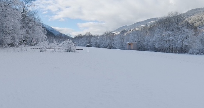 Ustria Ogna (oua_28417181_image)