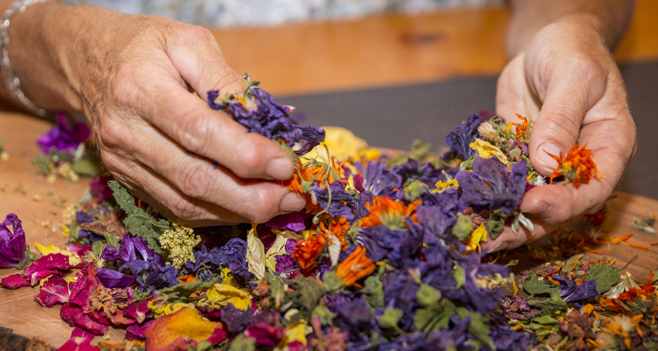 Hofladen Arpagaus (oua_28417196_image)