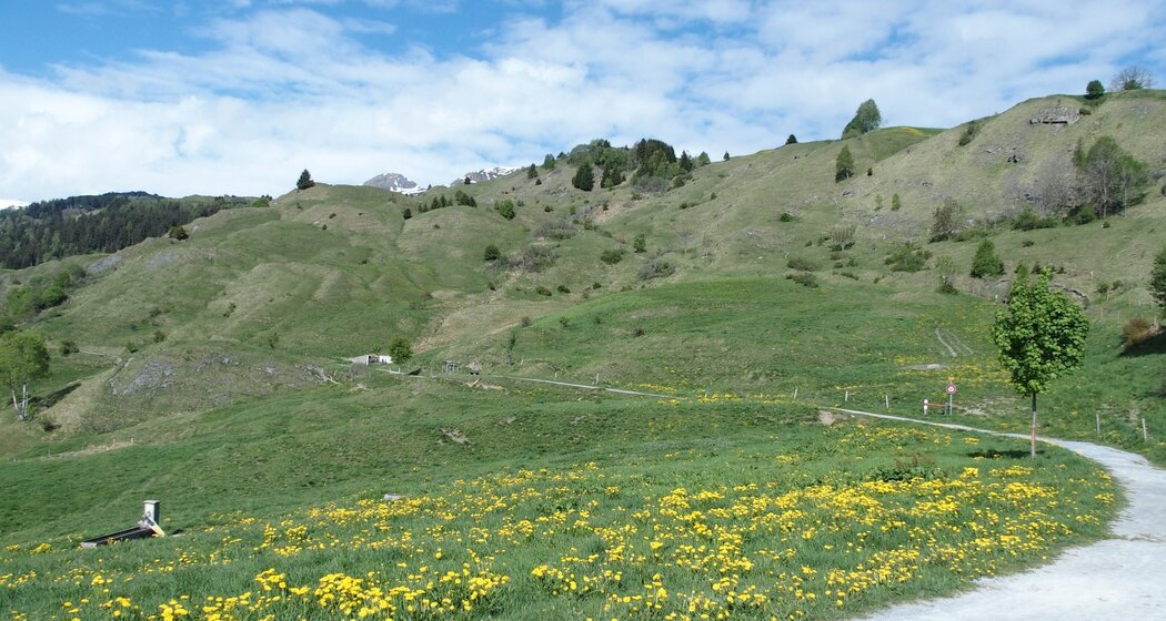 Senda culturala Lumnezia / Kulturweg Lumnezia (oua_28419152_image)