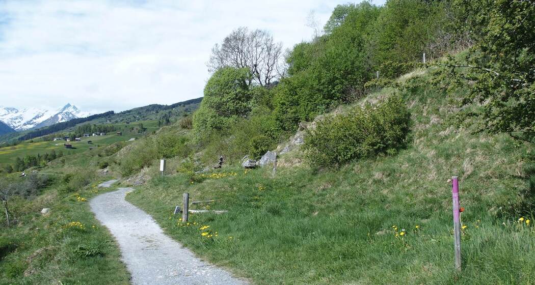 Senda culturala Lumnezia / Kulturweg Lumnezia (oua_28419154_image)