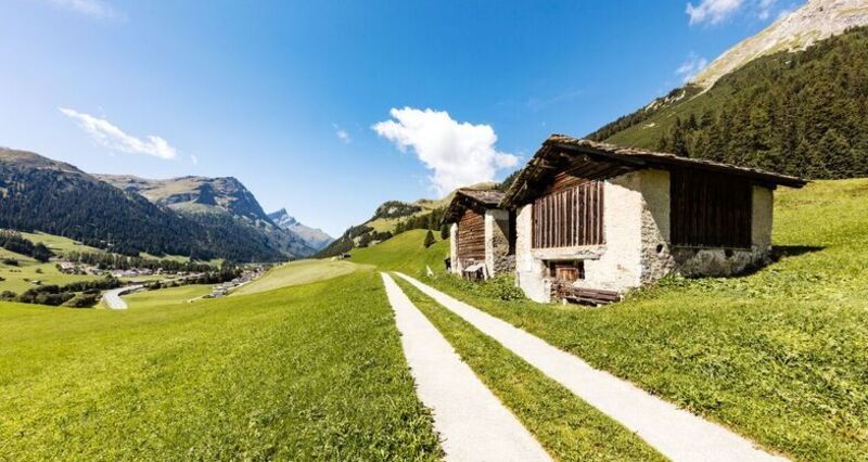 Rheinquellweg Landwirtschaft