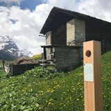 Rheinquellweg Landwirtschaft