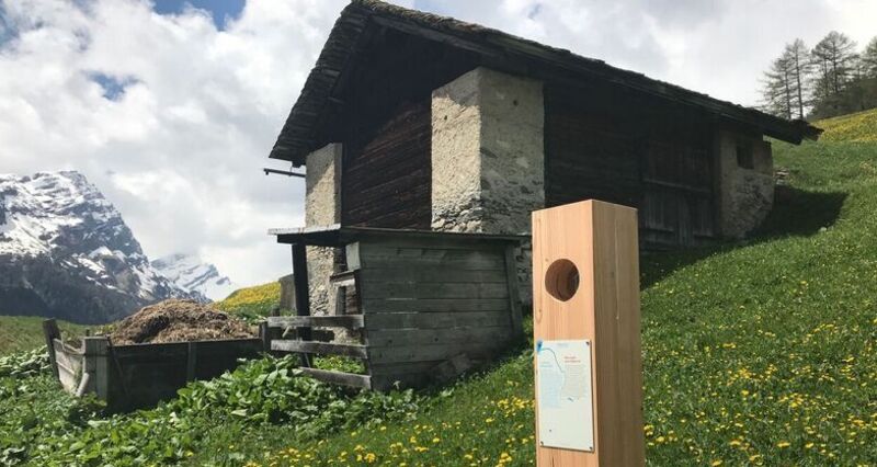 Rheinquellweg Landwirtschaft