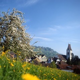 Rheintal Ridgeway (oua_28888584_image)