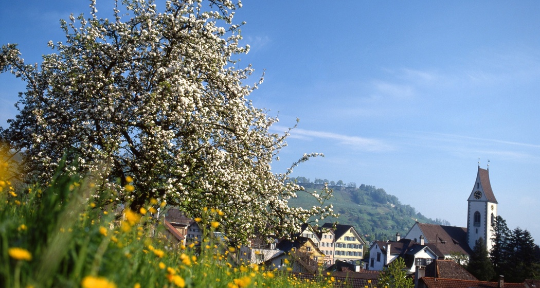 Rheintaler Höhenweg (oua_28888584_image)