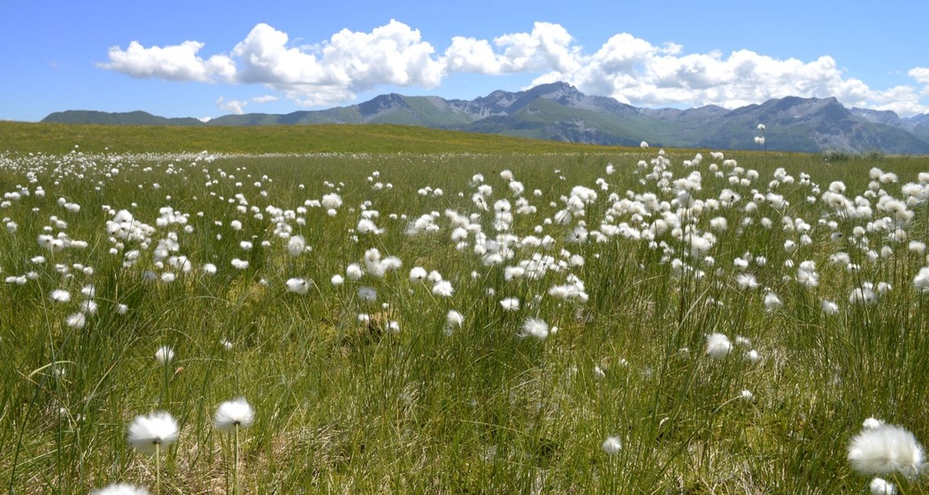 Naturlandschaft Beverin