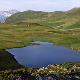 Heubergsee