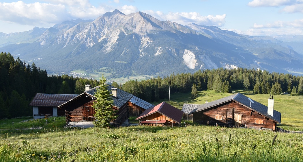 Munter - Ziteil - Tigignas (oua_29624575_image)