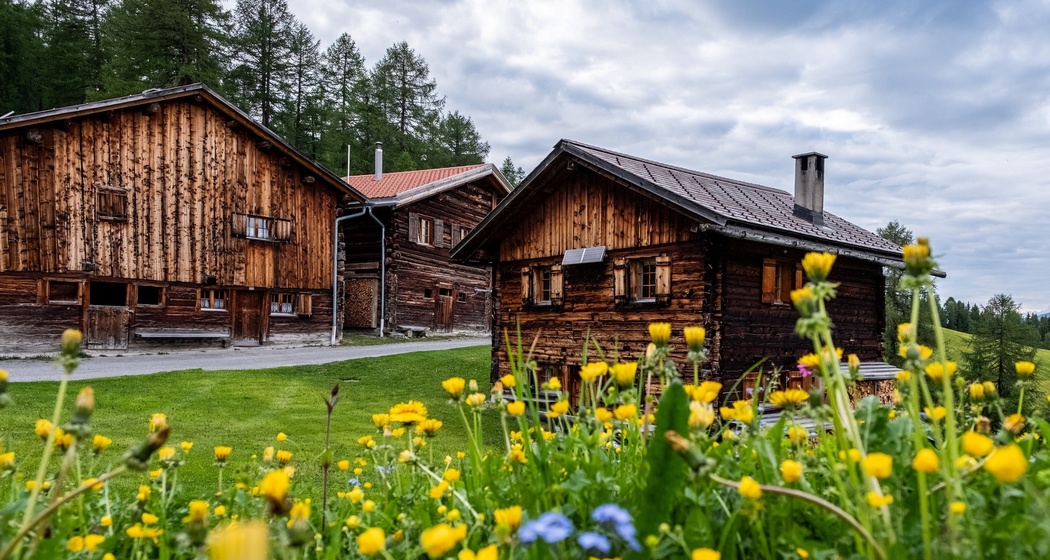 Munter - Ziteil - Cre digl Lai (oua_29624840_image)