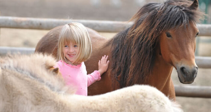 Reitschule Klosters (oua_29661902_image)