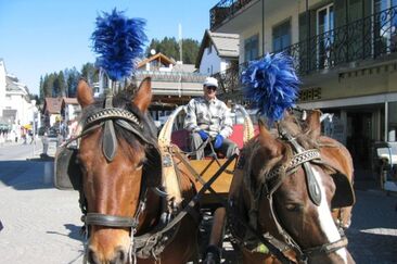 Carriage Ride Fam. Margreth (oua_29698524_image)