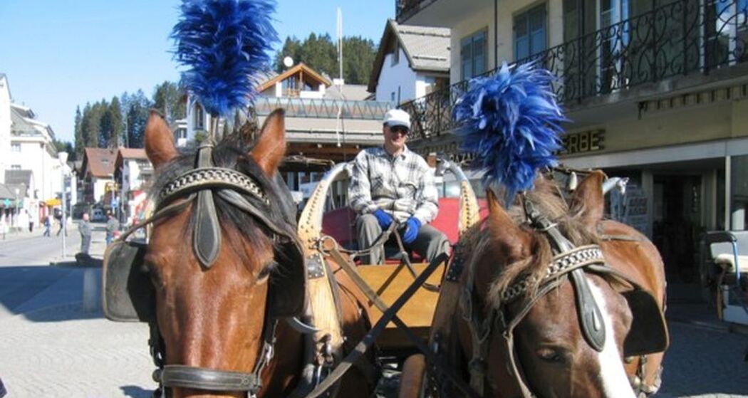 Pferdekutschen Fam. Margreth (oua_29698524_image)