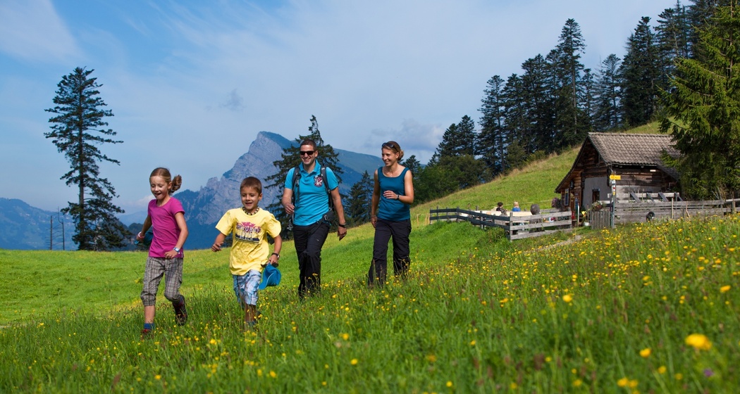 Ausflug auf die Heidialp (Ochsenberg).