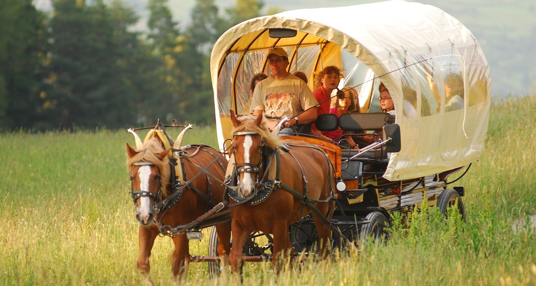 San Jon Kutschen- und Schlittenfahrten (oua_30177741_image)
