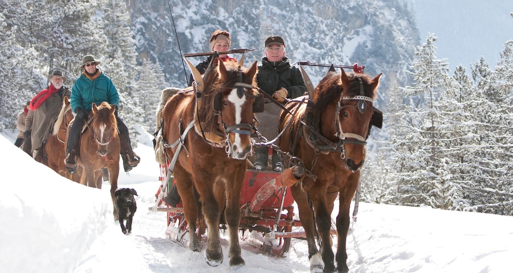 San Jon Kutschen- und Schlittenfahrten (oua_30177798_image)