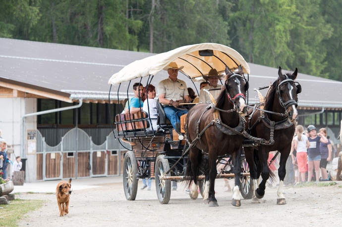 San Jon Kutschen- und Schlittenfahrten (oua_30177800_image)